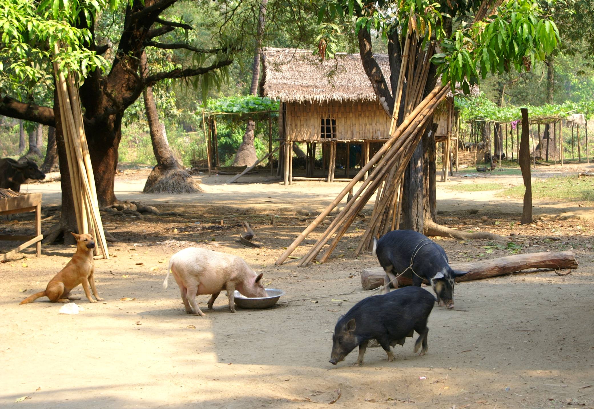 Regional village context image